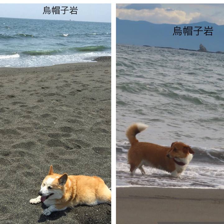 F332e59a f8c8 42fb bec5 c5f055fa2947 1624203296096