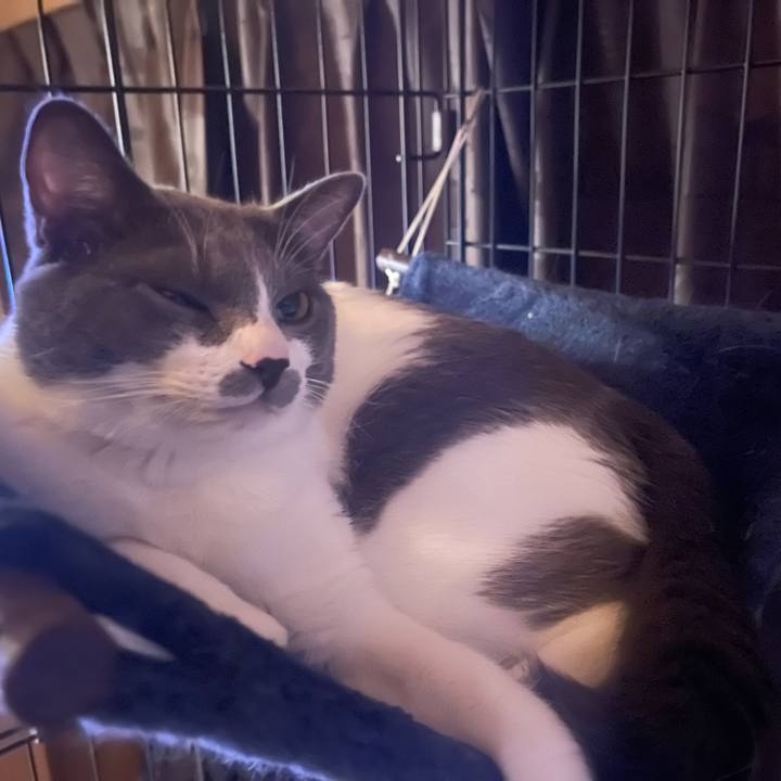 F3331862 6f86 4368 b46d 14edbd033163 1628425435609