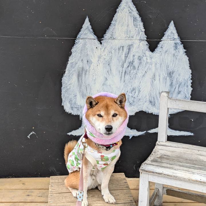 F3331894 6163 4266 a821 f4491ab50ffa 1736163024946