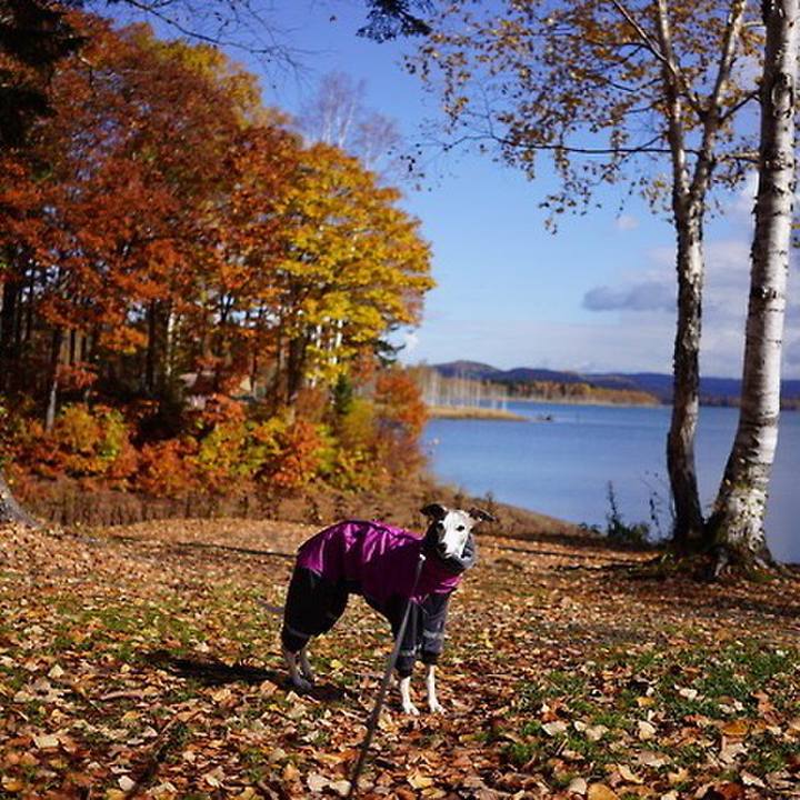 F3333cd6 d520 4312 a882 defa32b1dc80 1542464162389