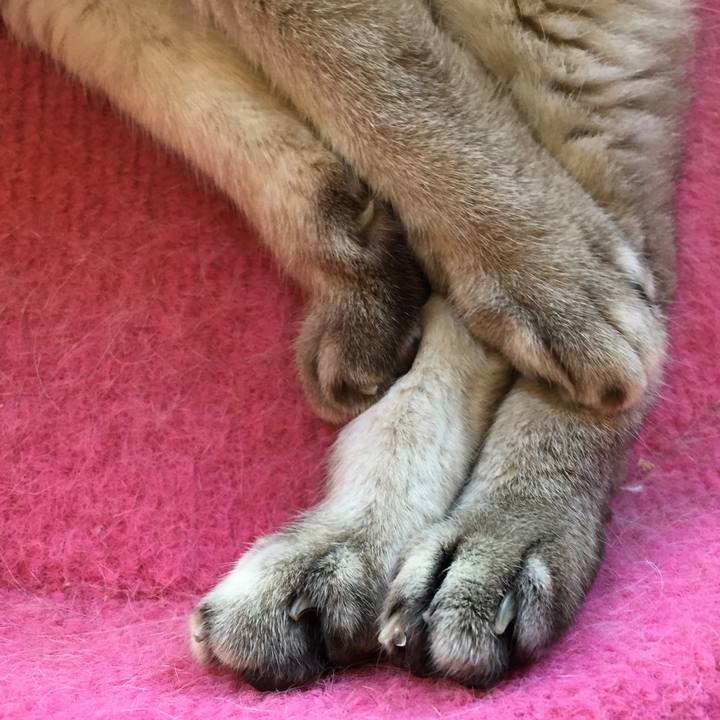 F33369b6 96e2 4d27 ba5c 59cf08388d4c 1535238608249