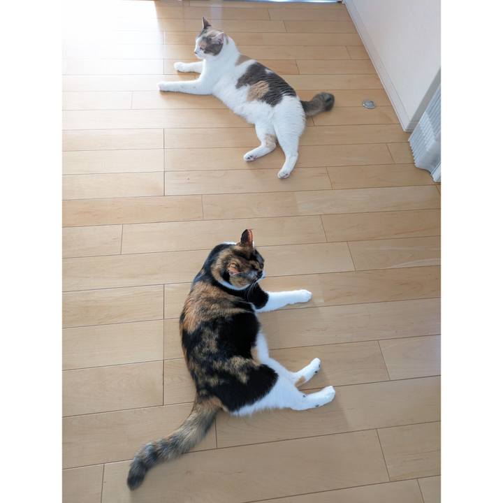 F3337a73 de9c 4a60 bc25 67efd5d32377 1693971041747