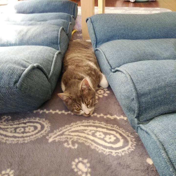 F33395c1 3133 49da ad66 06ab2f6fa88c 1569906537957