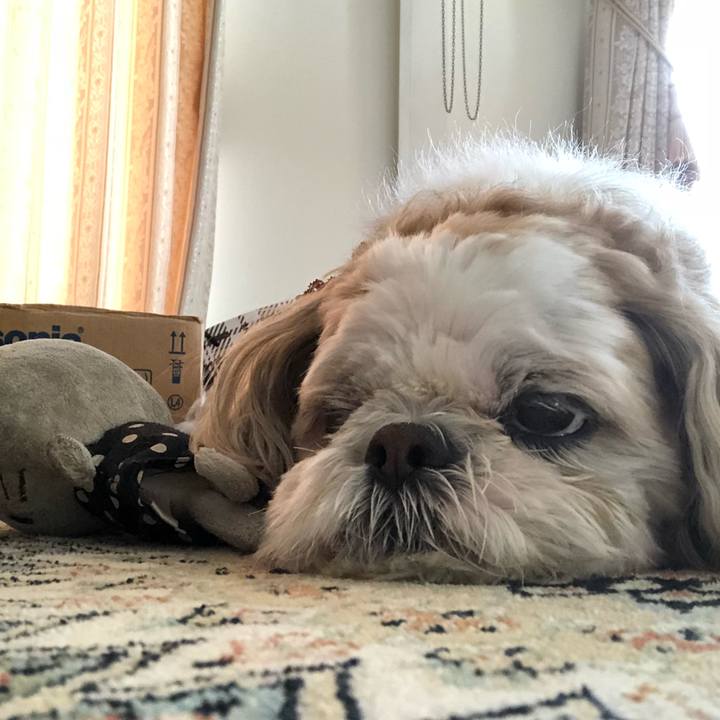 F333cfdb 5c87 403e ac43 cb393e934130 1520027969572