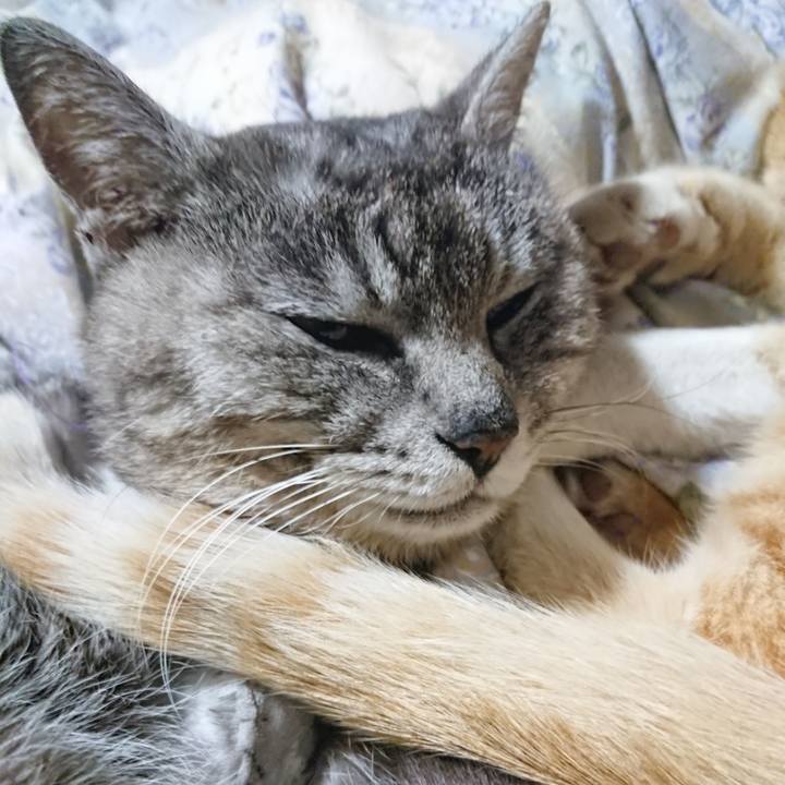 F33405f9 8425 484c af0f 0ac889bb4acc 1588853441135