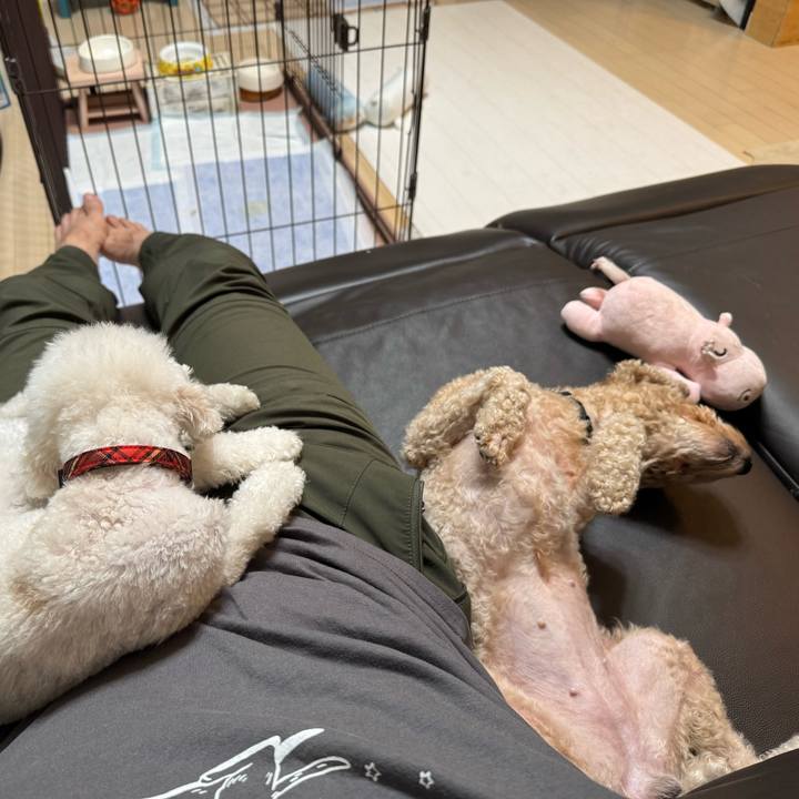 F334508f bb7e 40f5 9d81 adee16f9419d 1760270719467