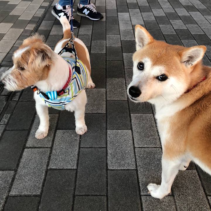 F334bc3a ebcd 40e9 89a9 0da10788024c 1600132703966