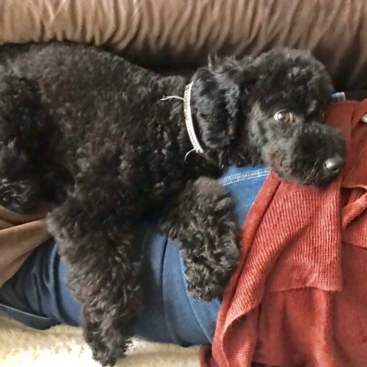 F3350446 da68 4059 bf0b df7a449431c8 1554761722909