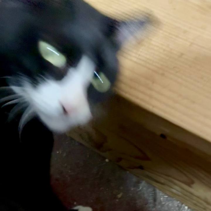 F33505f2 02a2 4c11 bc33 d805c38c4680 1760180502308