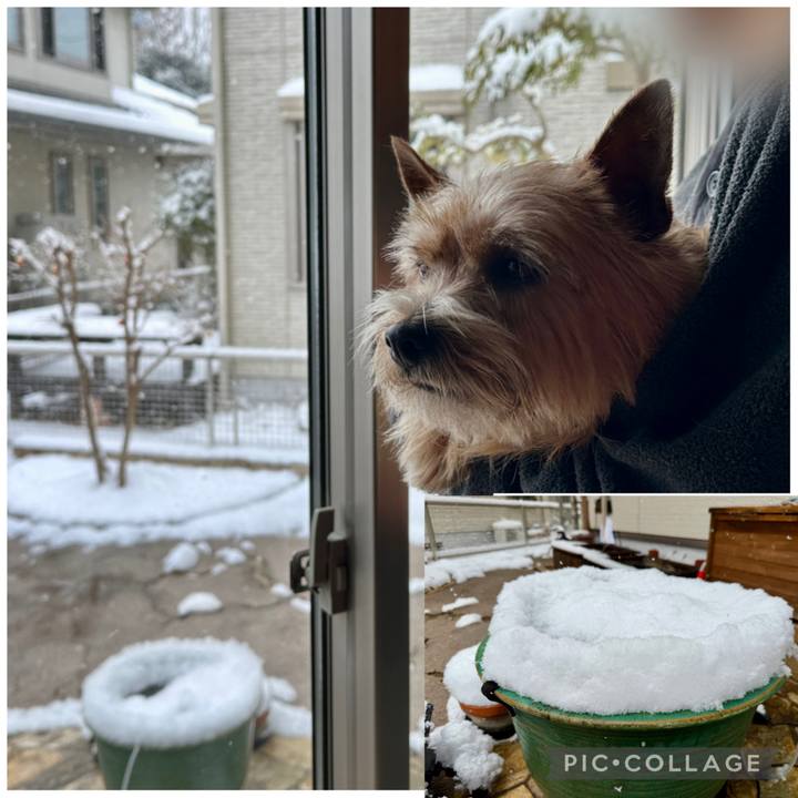 F335266f 527c 4b4d 8daf b145fa02354a 1770559209601