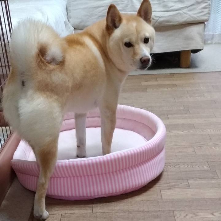 F3352b44 31e5 4a02 a430 8fec0539975c 1592813755060