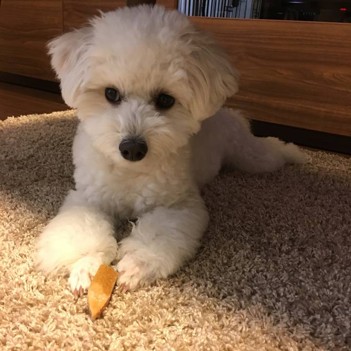 F3352e30 3980 44f8 b7af a1e8678fa677 1518844855331