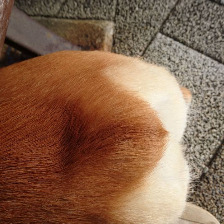 F3353917 065b 4e37 927d 0c4361c4b6b3 1571724873157