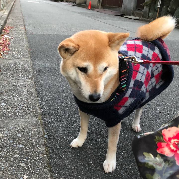 F3357727 2987 429b a192 6946fe46b8b3 1613226882019