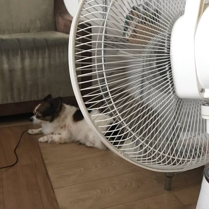 F335a0f7 71d0 4ee8 8a47 cd08871011ab 1596668455146