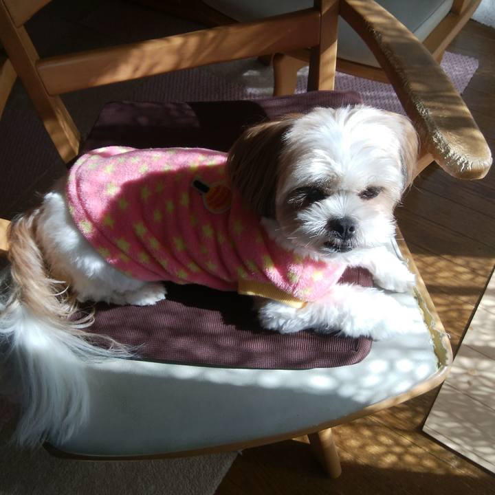 F335b2ae caed 4bb8 9237 aedd9760c6fc 1515808885315