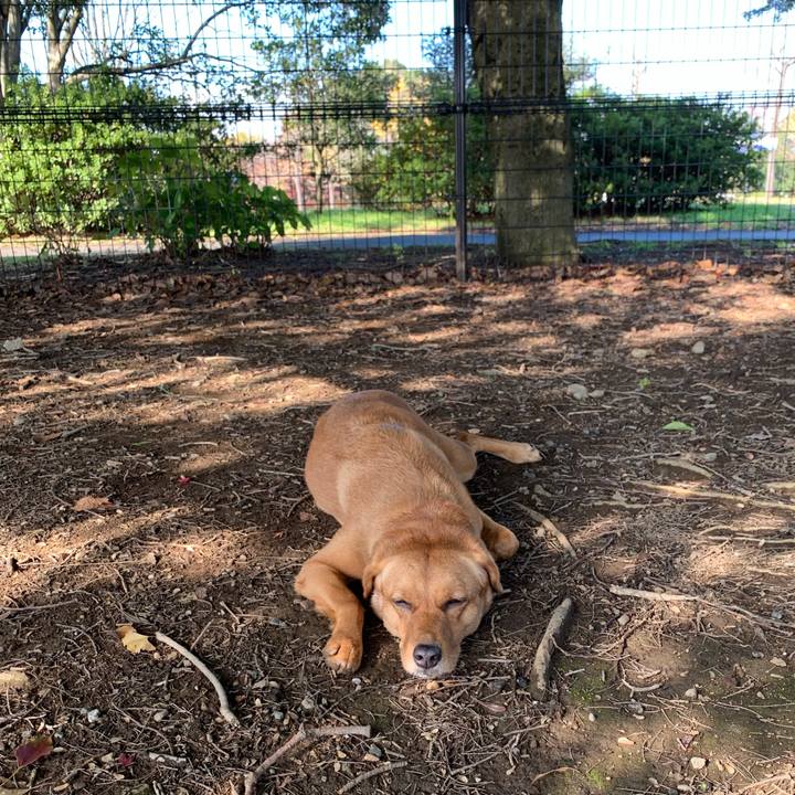 F335cc74 9e5f 4281 9468 355157ea8162 1574653579528