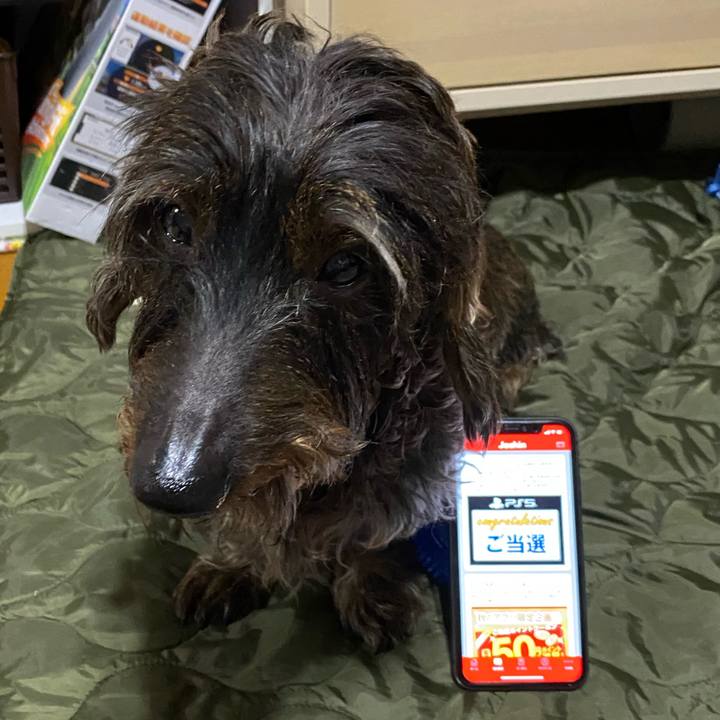 F335d053 9e29 41f1 aa26 6f0681864ca3 1603720994762