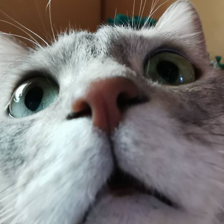 F33601a0 e18e 490b a979 c611f940e1de 1617766988465