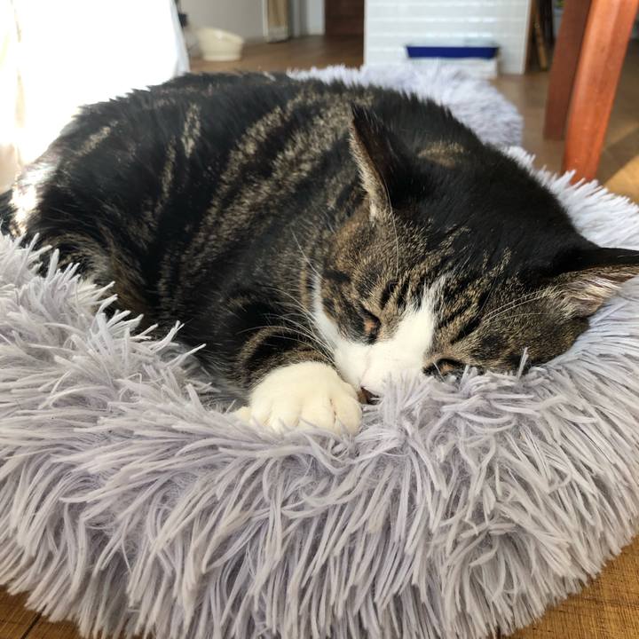 F33612ec 095c 46b9 9576 bcb9d0825f43 1710027552271