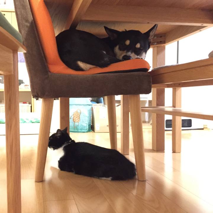 F3365105 df7e 4dbd 9e62 a2a053d4761f 1544607931244