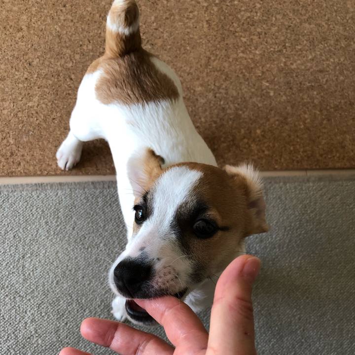 F33655b6 48b5 45fc 84e2 0e3da34fe865 1549240848410