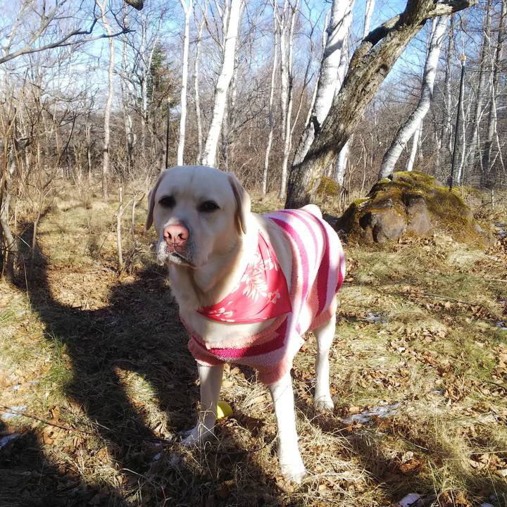 F3366788 9707 48d4 9c8b 3ed9360e0af1 1546331980659