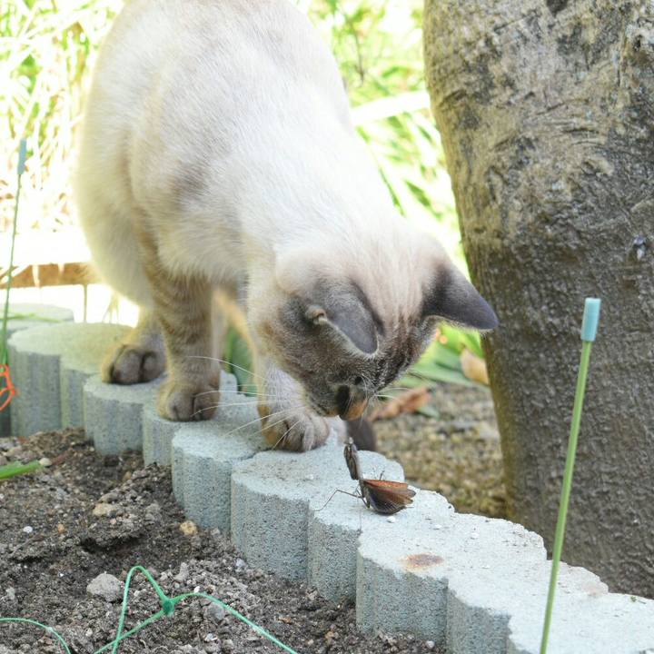 F33668e6 76d6 42d3 b1fd a954faf82f2b 1509076763104