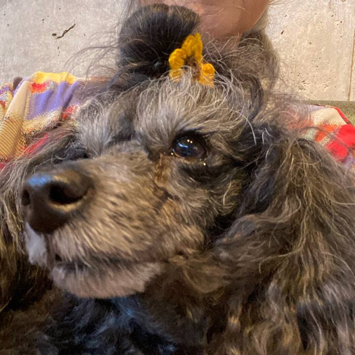 F3367a08 5bb6 47dc a413 b57ce83dda47 1719524998928