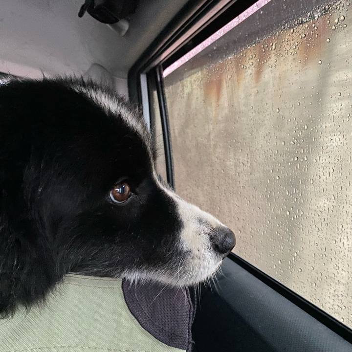 F336a81b 2955 42aa 8dc8 161e99729d72 1655762831474