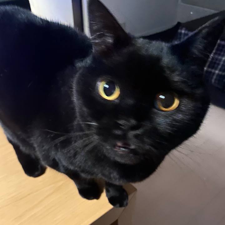 F33701d9 8027 462b 875f a5406367882f 1705413102586