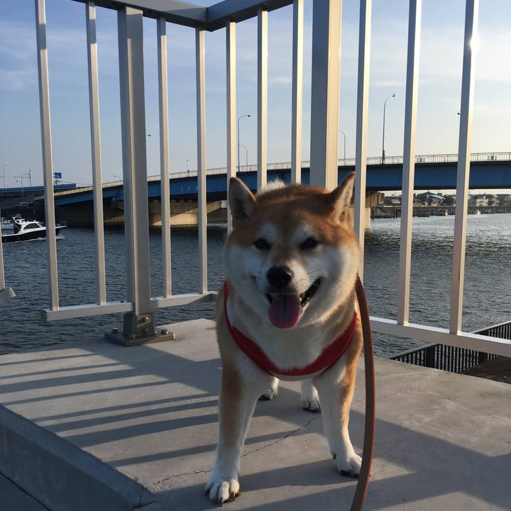 F3372197 785f 4f38 9630 fe3a0fa6d6c0 1565996625187