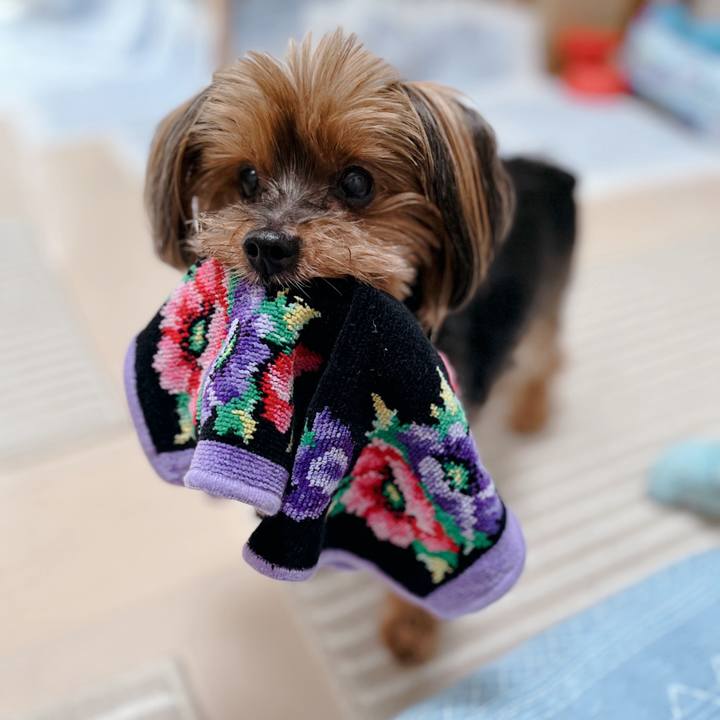 F33726e1 c22f 404a a748 40cb09bf3a58 1721099656962