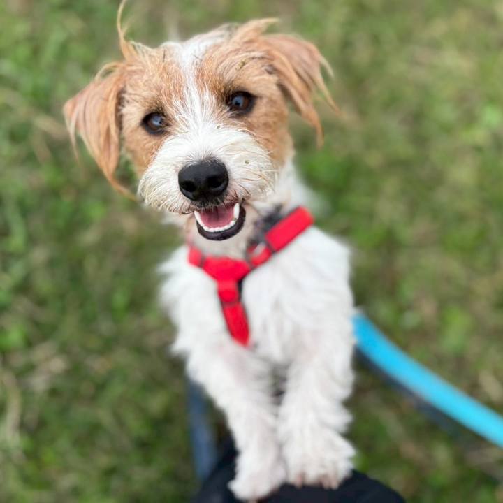 F337a173 b252 4e52 a25d 2740b51eb85f 1761966332447