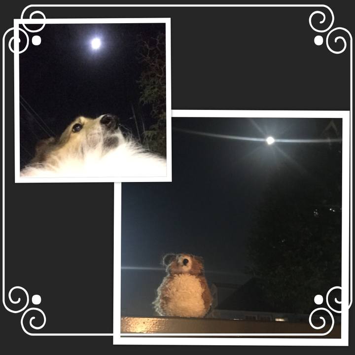 F337d589 54c1 4aee bab7 393960b1b4bc 1509542224340