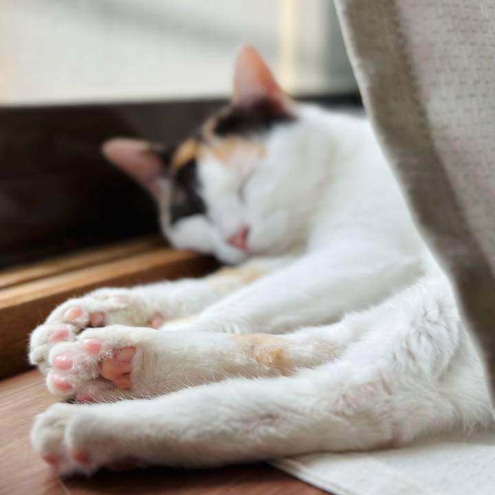 F337f8f2 c196 4424 8dec 1a2f4d8a8b77 1690678778168