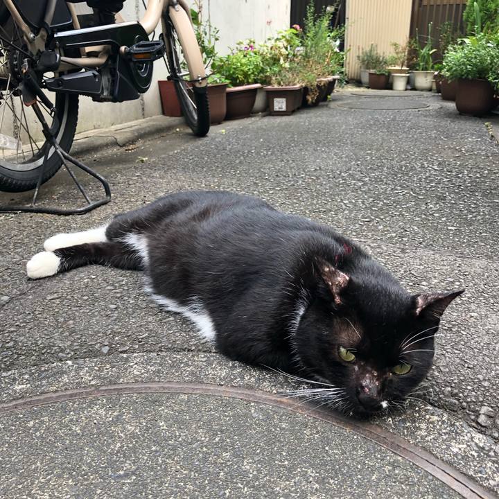 F337fc42 045d 48b5 a099 95d320d5b753 1566720755173