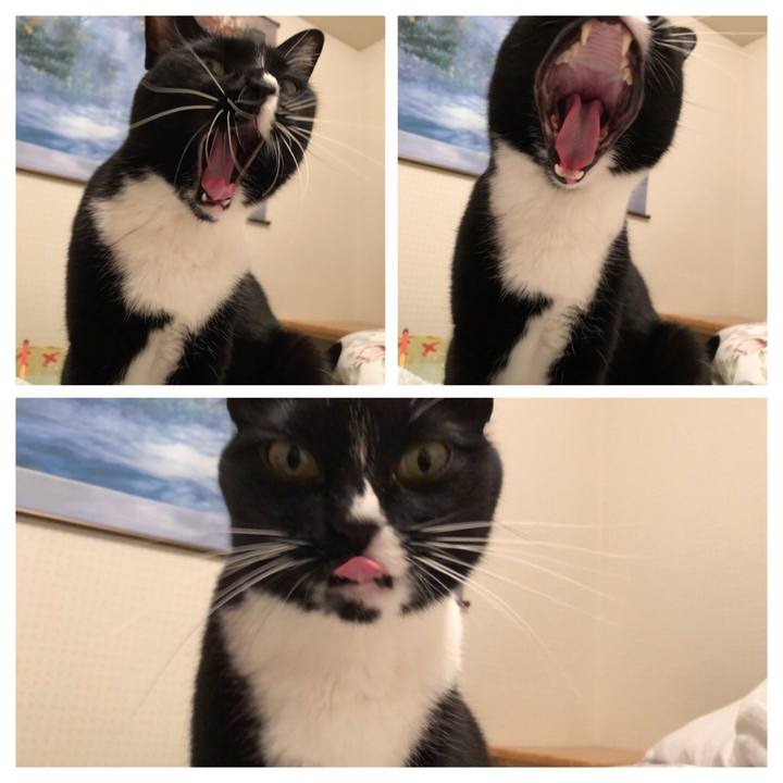 F3380643 aa2f 4040 ba4c c2c84b8154f2 1540849505388