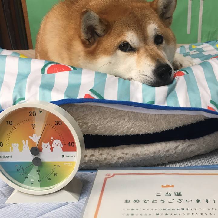 F33806f6 c402 4bcd a264 3aab9c4c56c2 1625701096734