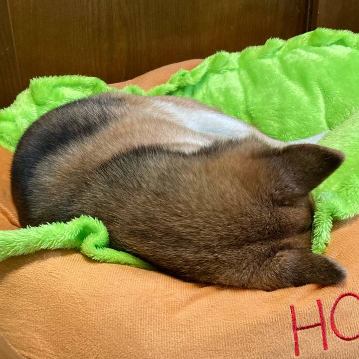 F338257f 9f56 4486 a533 8f88f30681ed 1737870174364