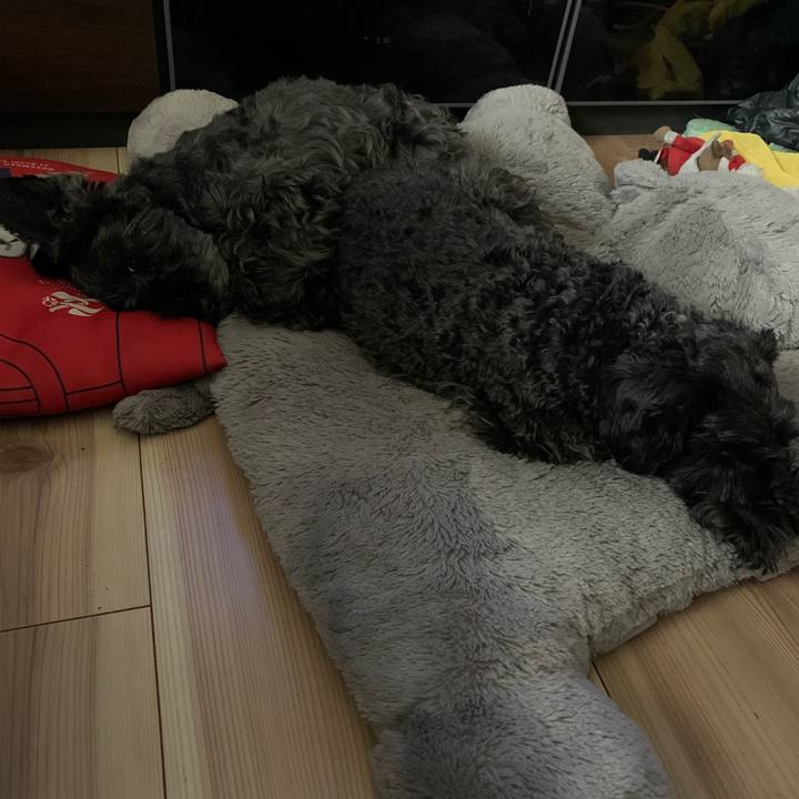 F3382aed 342a 4f5e 88fe ce27839e58e6 1622264598391