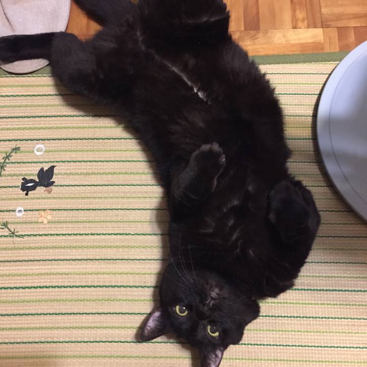 F3388be1 3c3e 4071 8e45 931fd6d4df58 1533901869686