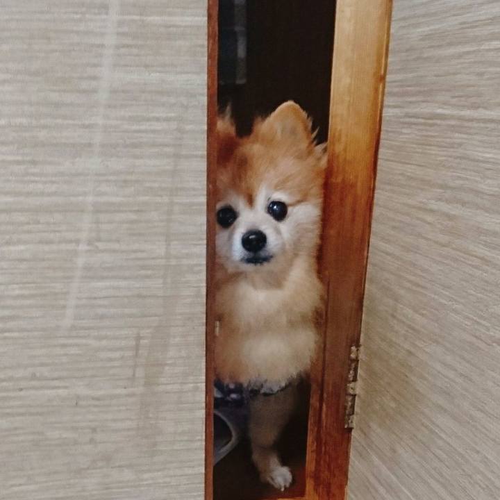 F338972d 3b3a 4fa8 8933 000037235644 1550648023631