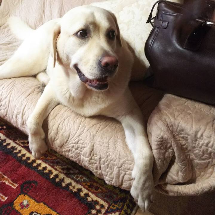 F338c688 880d 4bc1 886a a06e96e6b19c 1561262762562