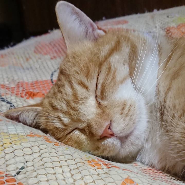 F3390127 2e54 4d2e 9e00 c500df5f6fd7 1577104643765