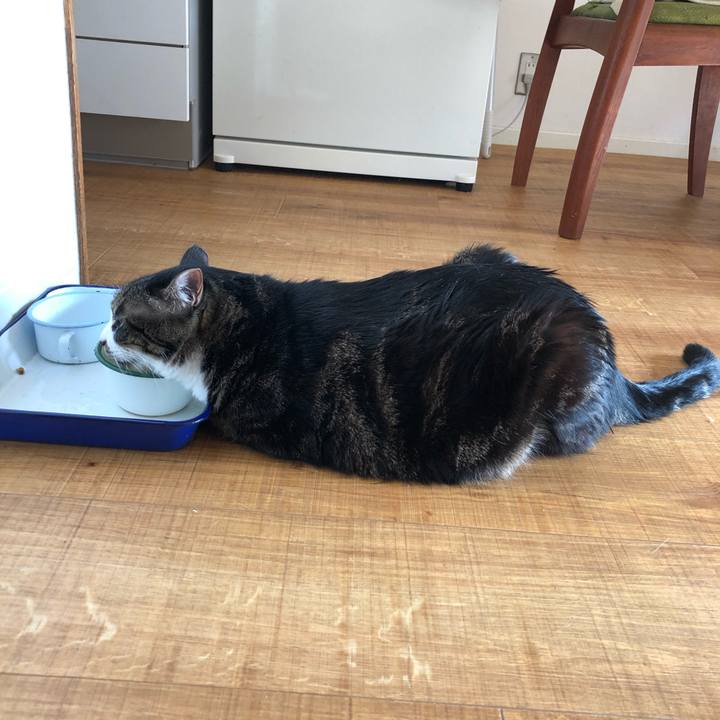 F3391057 ba48 4a4d bba5 9269c4be1fa3 1582417398644