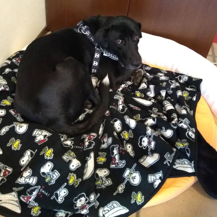 F33915d7 df51 404d 9e89 1d099e90579c 1737243037407