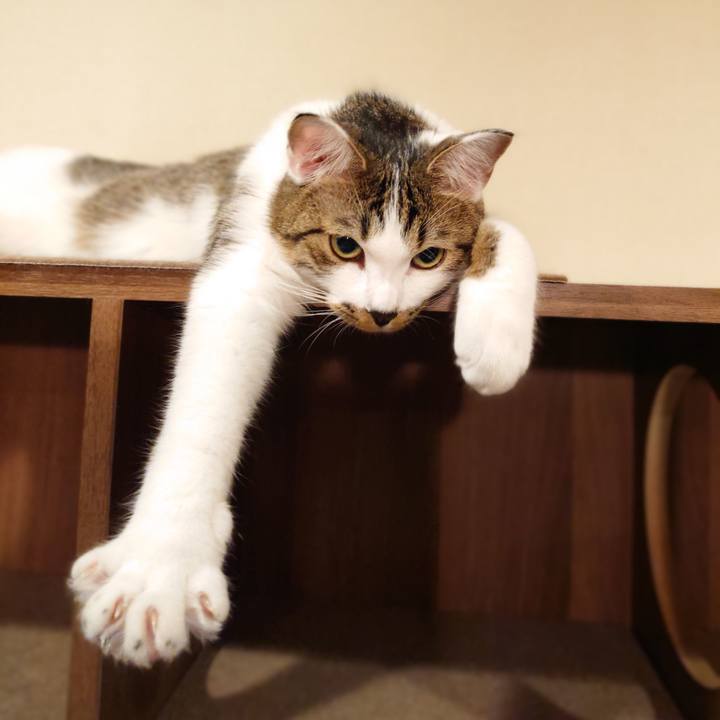 F3393256 4e0b 49a8 be5e b299f6700798 1562628642329