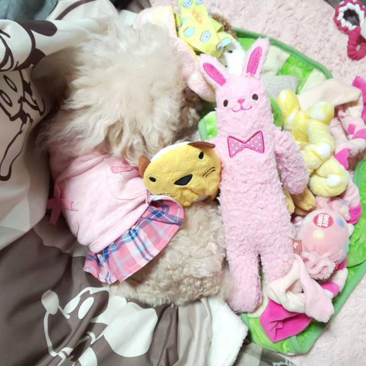 F3395a2f 1a05 403d a38a 9fb4a14c917e 1574341879500