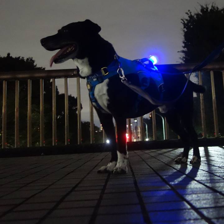 F3395c6c 7fa6 459e ba72 1f5219be61e3 1695467471933